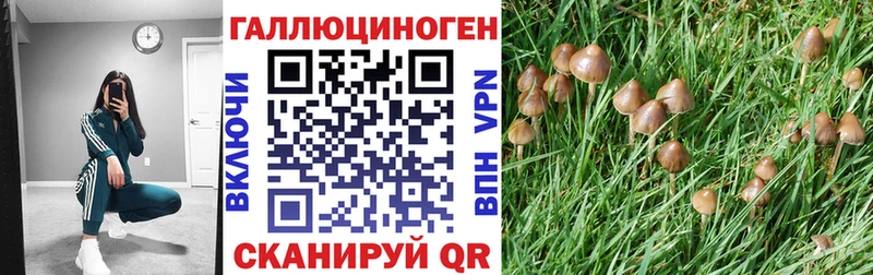 MEGA сайт  Лагань  Псилоцибиновые грибы GOLDEN TEACHER 